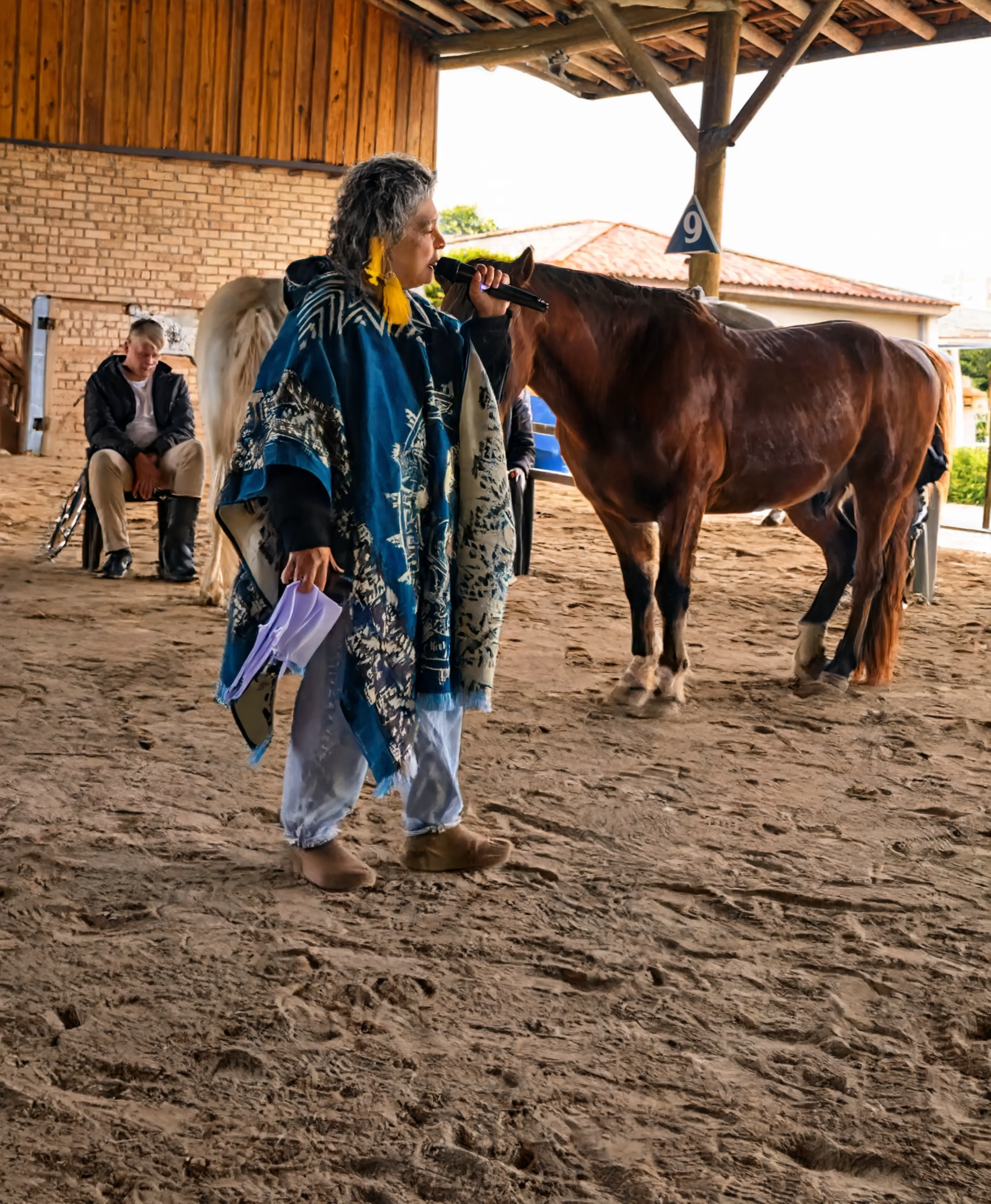 Sessão de constelação familiar com cavalos